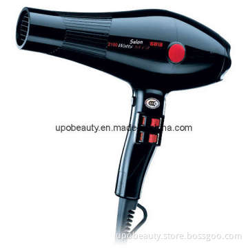 Professional Hair Dryer (6813)